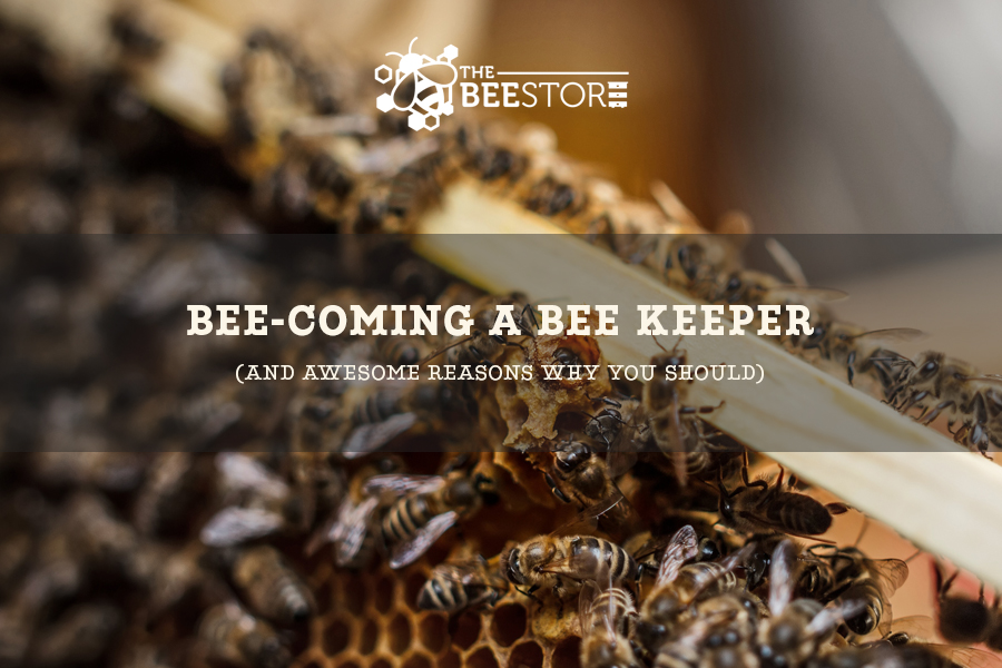 Reasons Why You Should Become A Beekeeper - The Bee Store